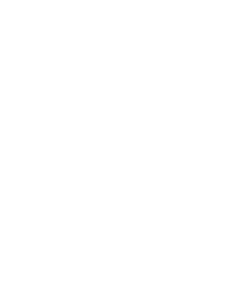 Logo NG Expertise - Blanc